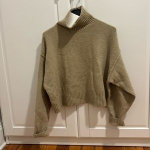 NWT DISSH oatmeal colored turtleneck